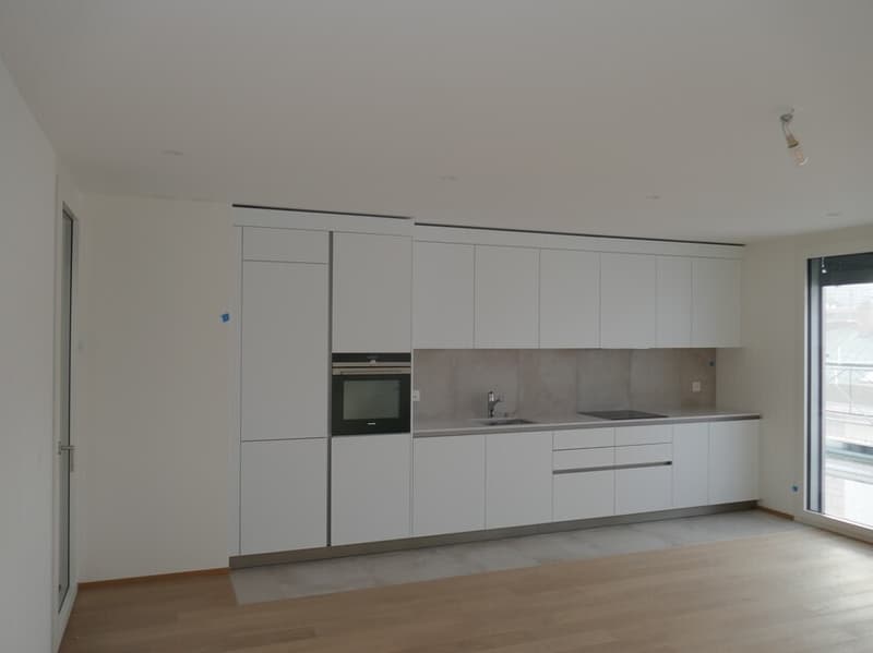 Beautiful 4-room attic apartment with balconies in Eaux-Vives (4)