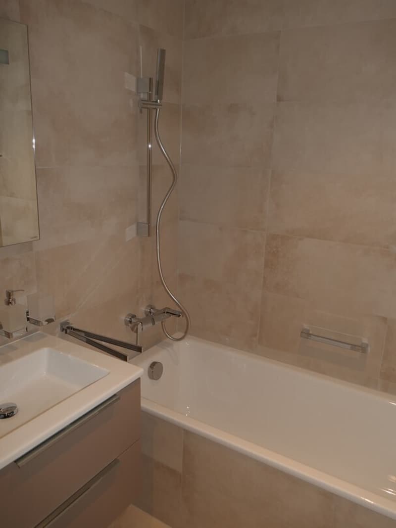 Beautiful 4-room attic apartment with balconies in Eaux-Vives (9)