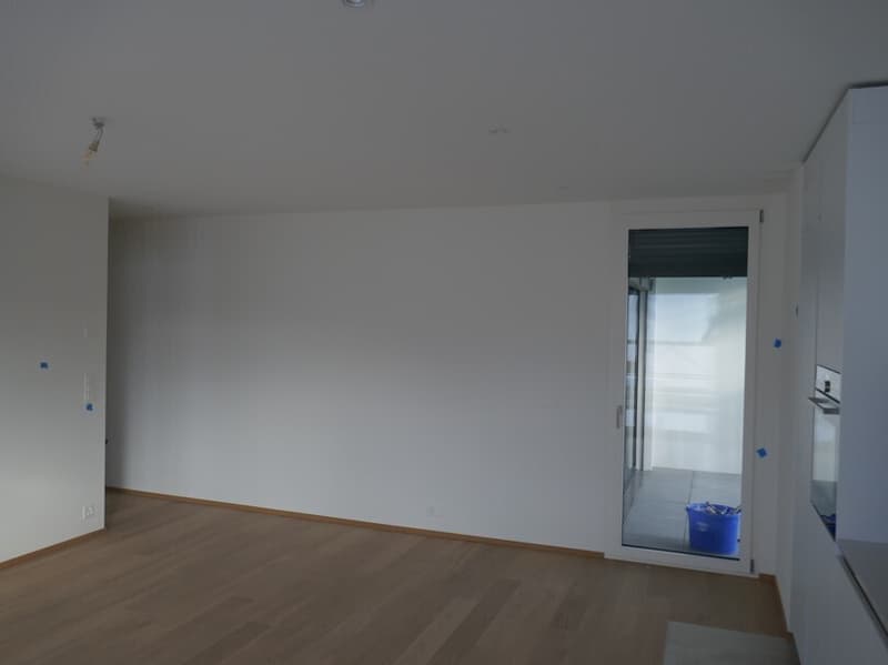 Beautiful 4-room attic apartment with balconies in Eaux-Vives (2)