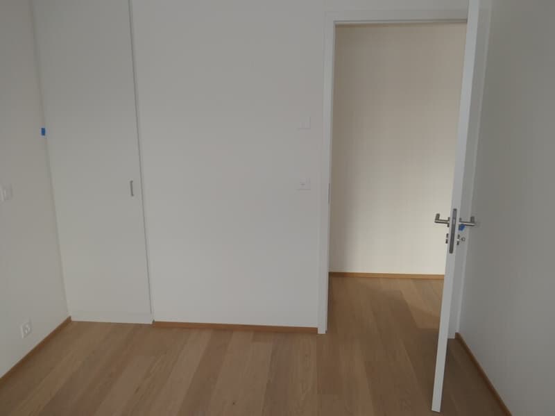 Beautiful 4-room attic apartment with balconies in Eaux-Vives (7)
