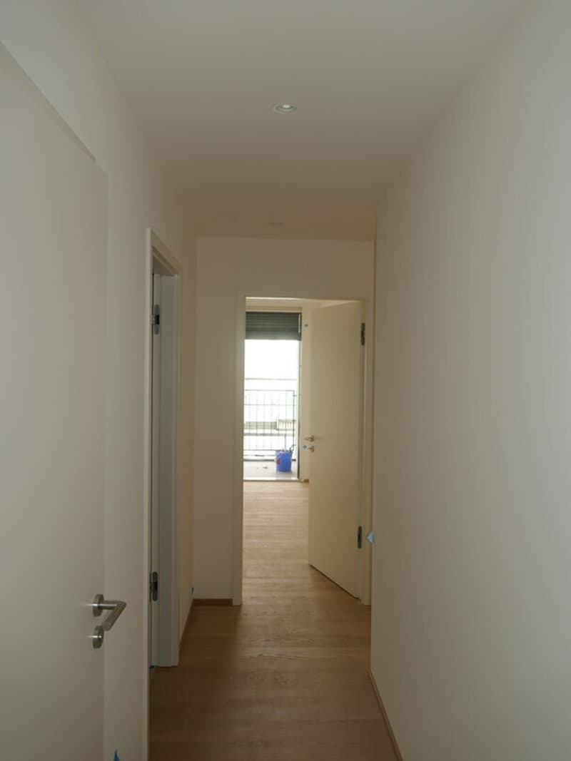 Beautiful 4-room attic apartment with balconies in Eaux-Vives (11)
