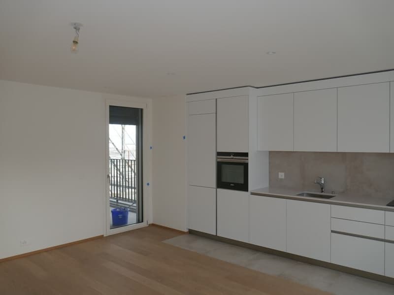 Beautiful 4-room attic apartment with balconies in Eaux-Vives (3)