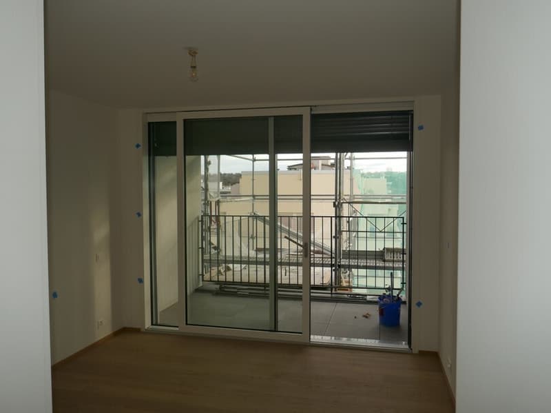 Beautiful 4-room attic apartment with balconies in Eaux-Vives (5)