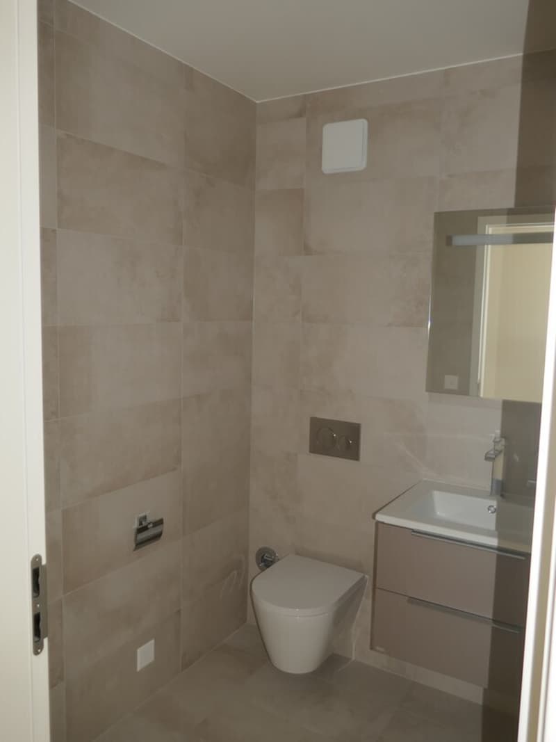 Beautiful 4-room attic apartment with balconies in Eaux-Vives (8)