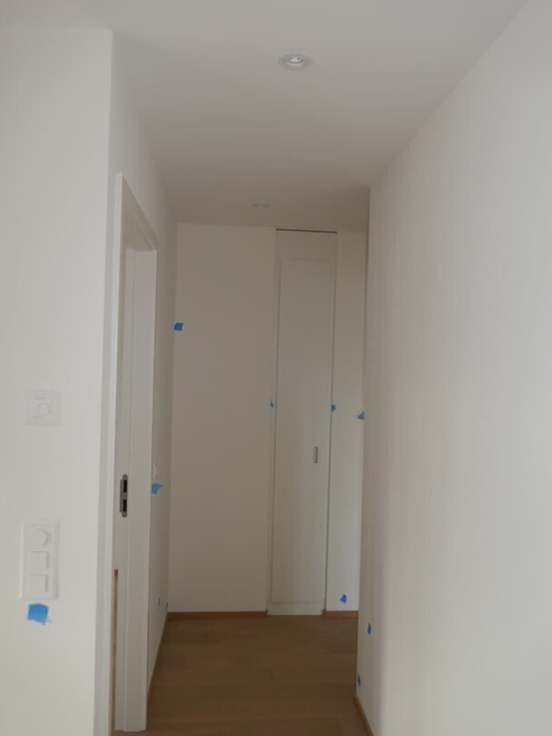 Beautiful 4-room attic apartment with balconies in Eaux-Vives (12)
