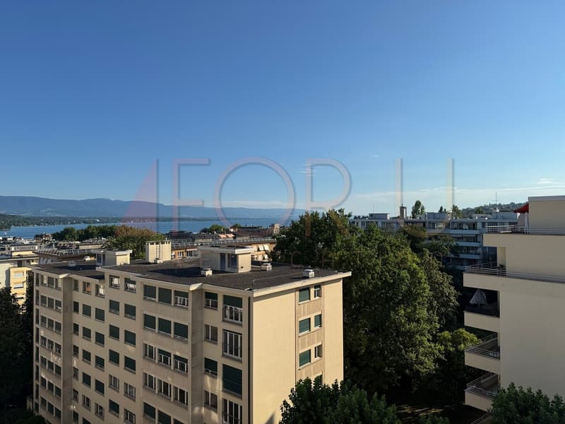 Beautiful 4-room attic apartment with balconies in Eaux-Vives (1)