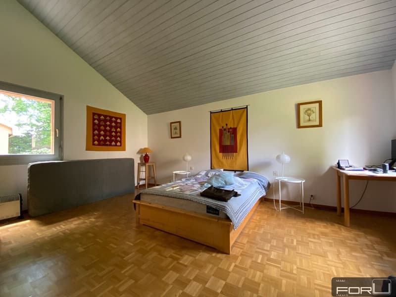 Bella villa individuale in posizione tranquilla con grande giardino a Carouge (7)