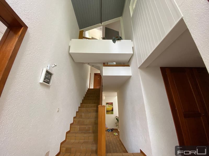 Bella villa individuale in posizione tranquilla con grande giardino a Carouge (11)