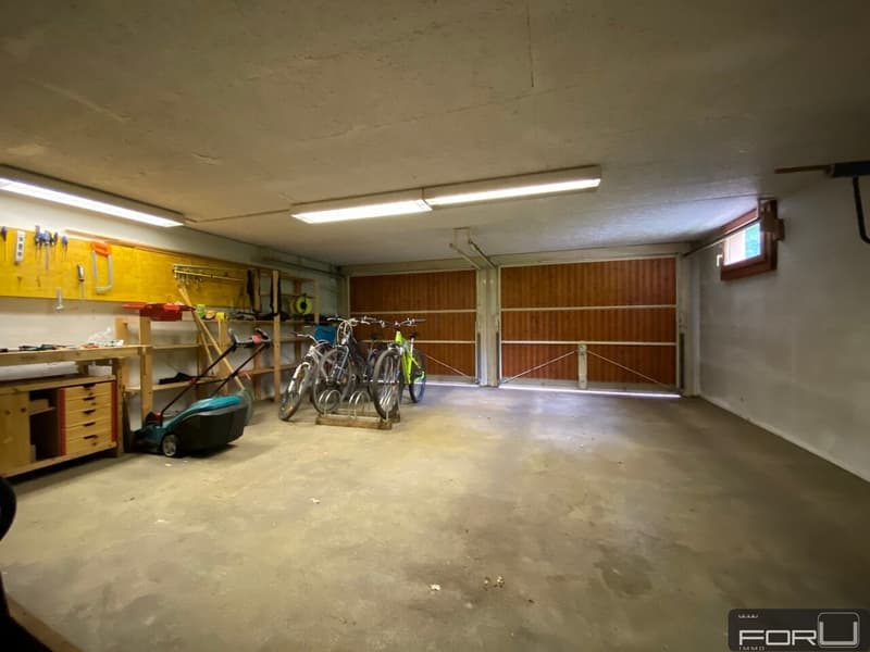 Bella villa individuale in posizione tranquilla con grande giardino a Carouge (13)