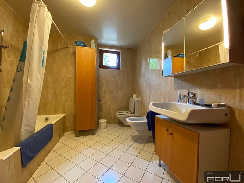 Bella villa individuale in posizione tranquilla con grande giardino a Carouge (9)