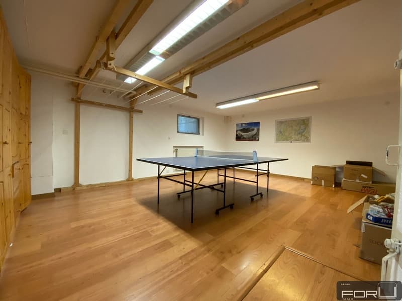 Bella villa individuale in posizione tranquilla con grande giardino a Carouge (12)