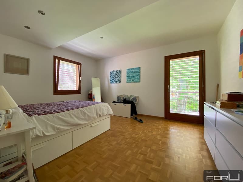Bella villa individuale in posizione tranquilla con grande giardino a Carouge (8)