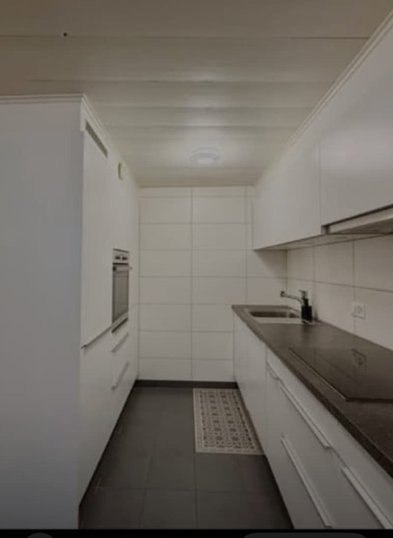 CENTRO CITTÀ GINEVRA 4,5 locali (4)