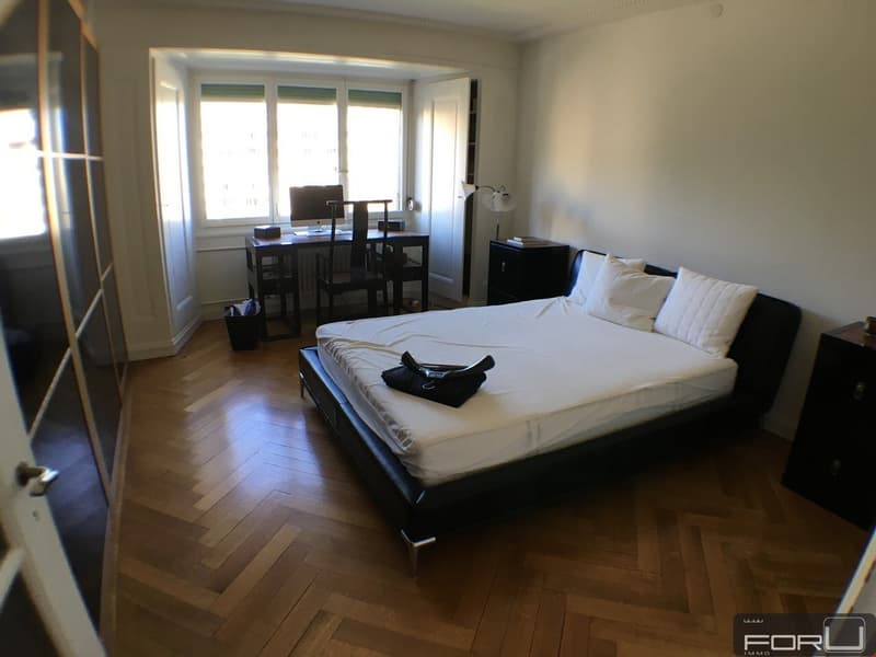 Superbe appartement de 5 pièces aux Eaux-Vives (9)