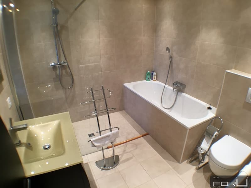 Superbe appartement de 5 pièces aux Eaux-Vives (10)