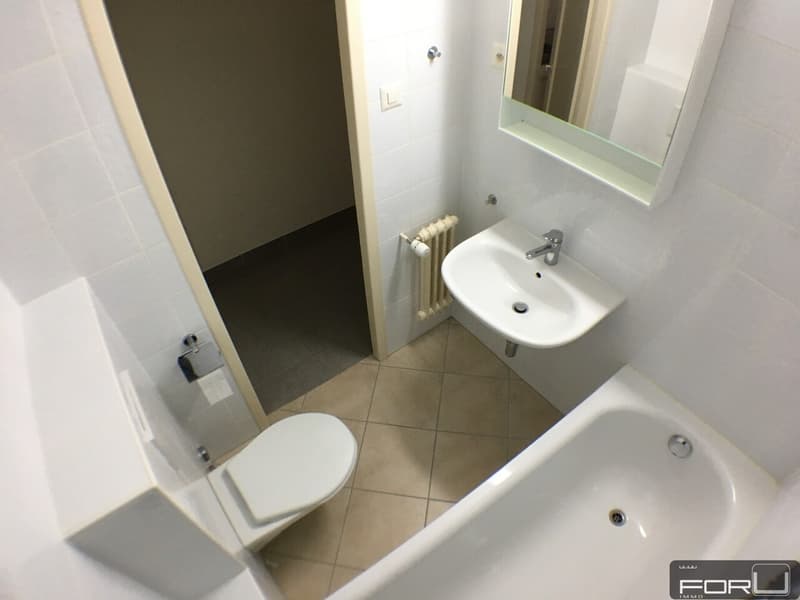 Schönes durchgehendes 3-Zimmer-Apartment in den Pâquis (7)