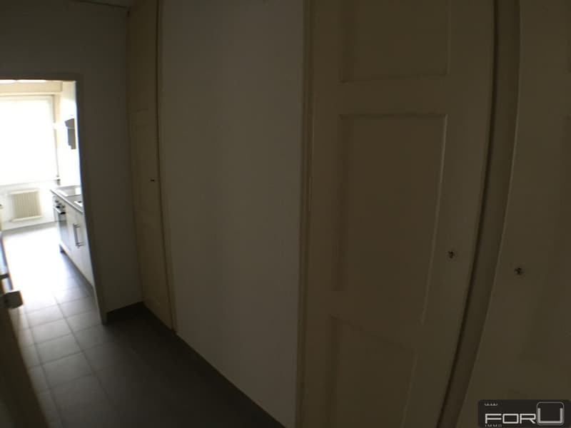 Schönes durchgehendes 3-Zimmer-Apartment in den Pâquis (5)