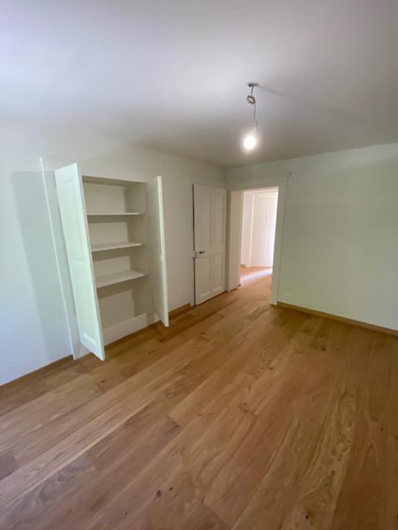Very beautiful modern attic apartment with 5 rooms and garden in Avusy (9)