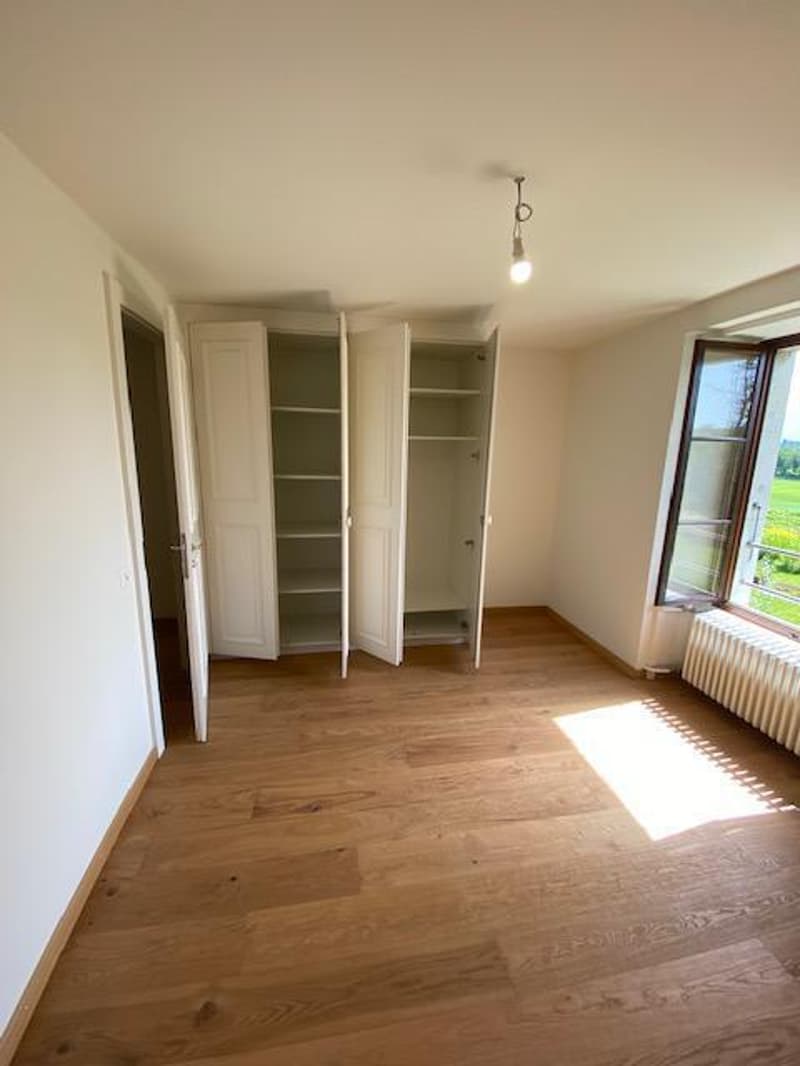 Very beautiful modern attic apartment with 5 rooms and garden in Avusy (7)