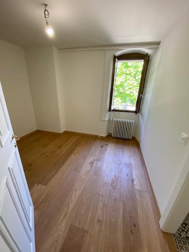 Very beautiful modern attic apartment with 5 rooms and garden in Avusy (5)