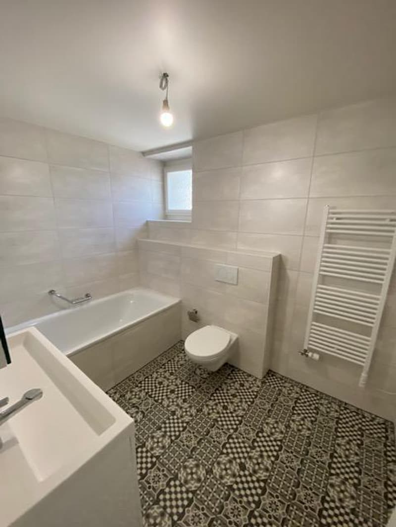 Very beautiful modern attic apartment with 5 rooms and garden in Avusy (10)