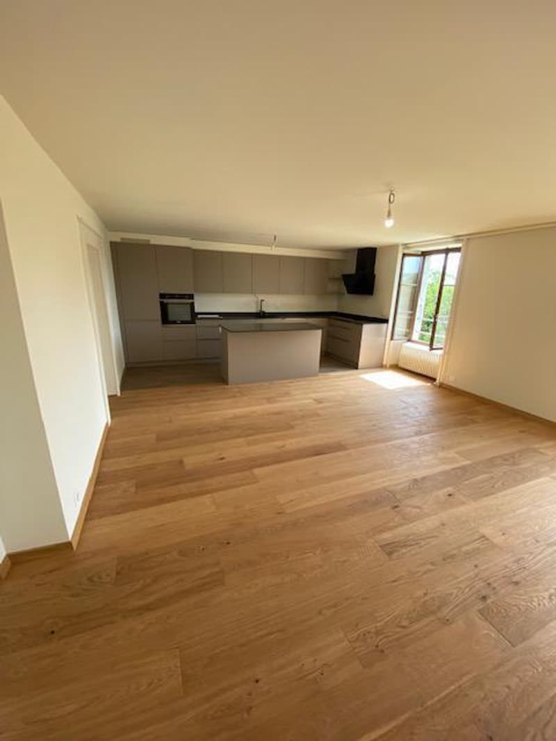 Very beautiful modern attic apartment with 5 rooms and garden in Avusy (2)