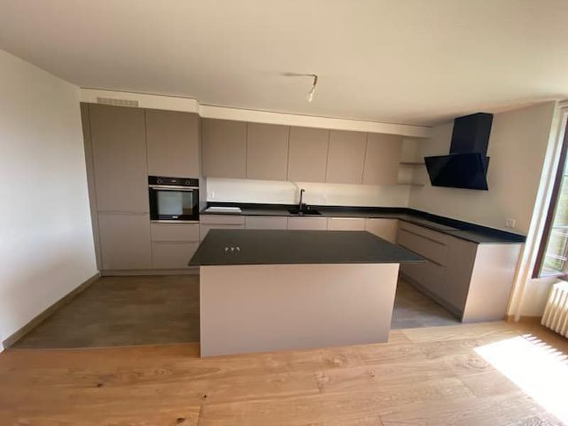 Very beautiful modern attic apartment with 5 rooms and garden in Avusy (3)