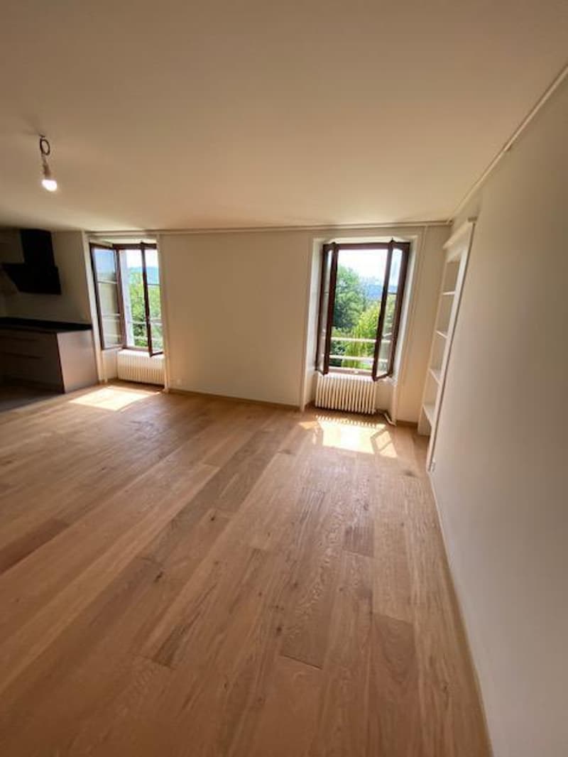 Very beautiful modern attic apartment with 5 rooms and garden in Avusy (4)