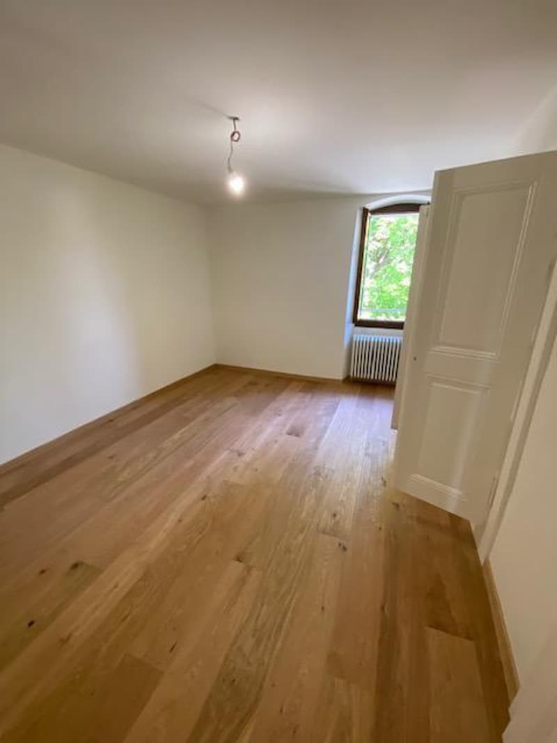 Very beautiful modern attic apartment with 5 rooms and garden in Avusy (6)