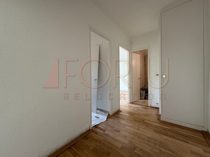 Appartement de 3 pièces entièrement refait à neuf avec balcon à Meyrin (6)