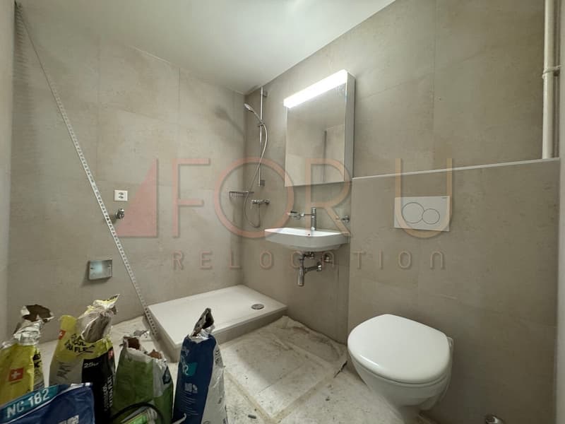 Appartement de 3 pièces entièrement refait à neuf avec balcon à Meyrin (5)