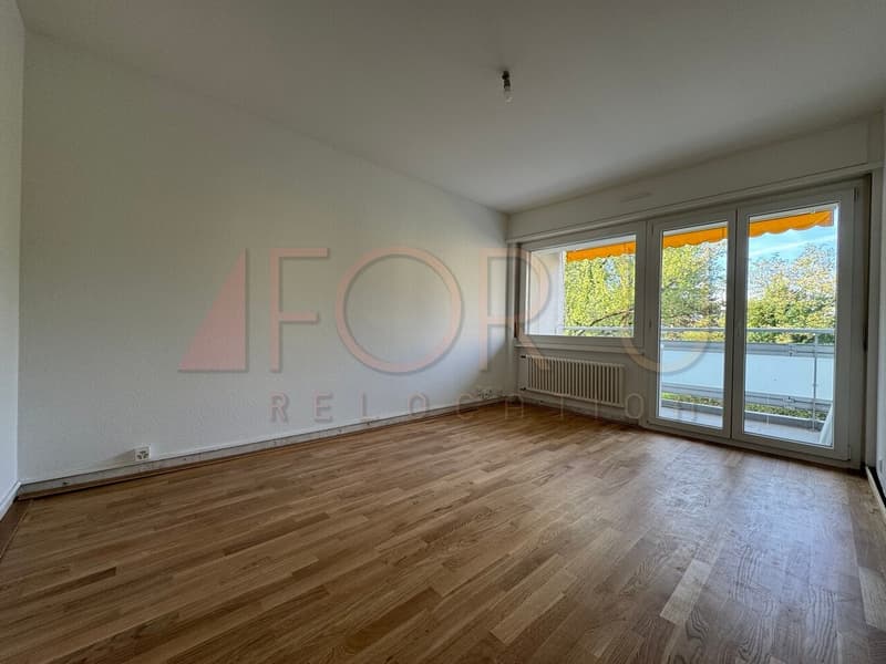 Appartement de 3 pièces entièrement refait à neuf avec balcon à Meyrin (2)