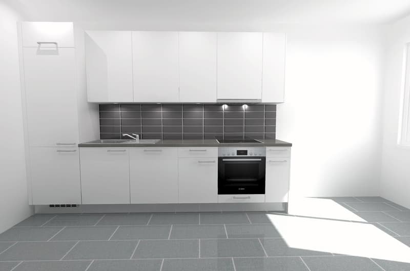 Grand logement 3.5 pièces moderne avec balcon au calme à la Servette (3)