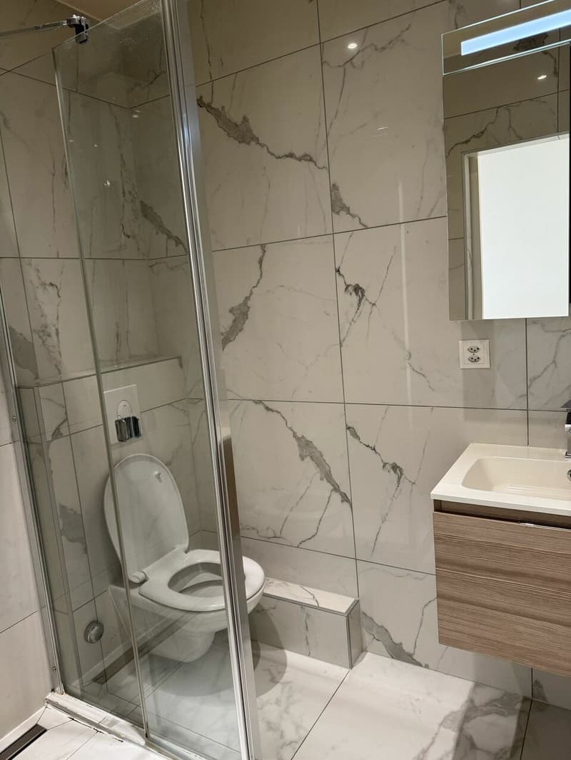 Très bel appartement rénové de 3 pièces à Champel (8)