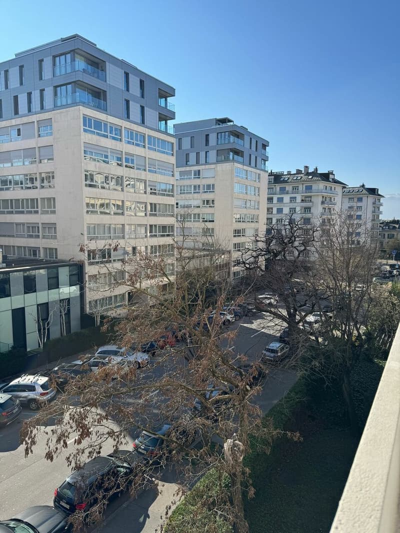 Très bel appartement rénové de 3 pièces à Champel (1)