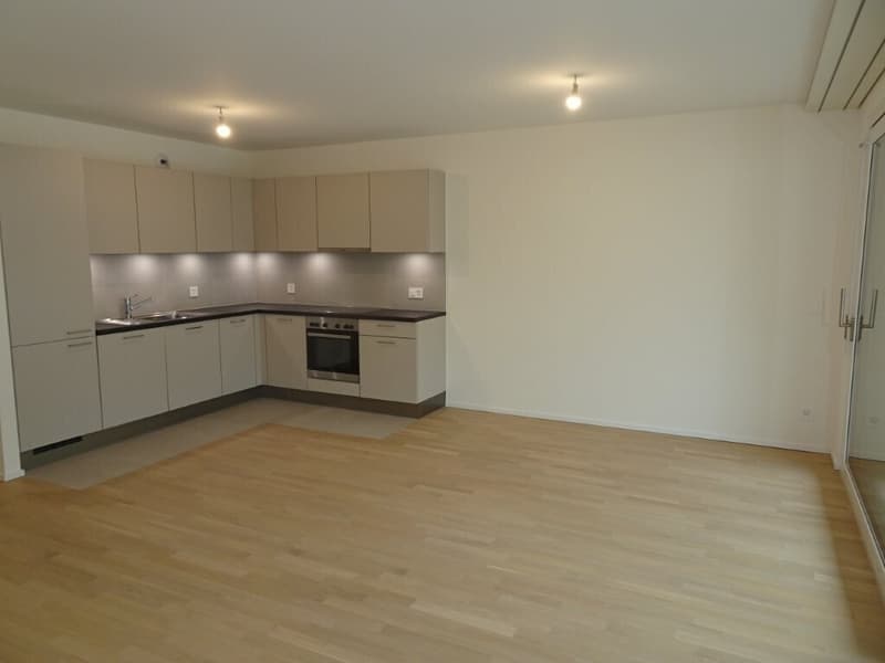 Très beau 4 pièces dans immeuble presque neuf (/!\ conditions HM) (5)
