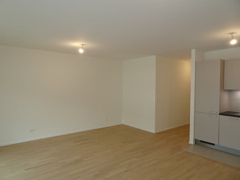 Très beau 4 pièces dans immeuble presque neuf (/!\ conditions HM) (6)