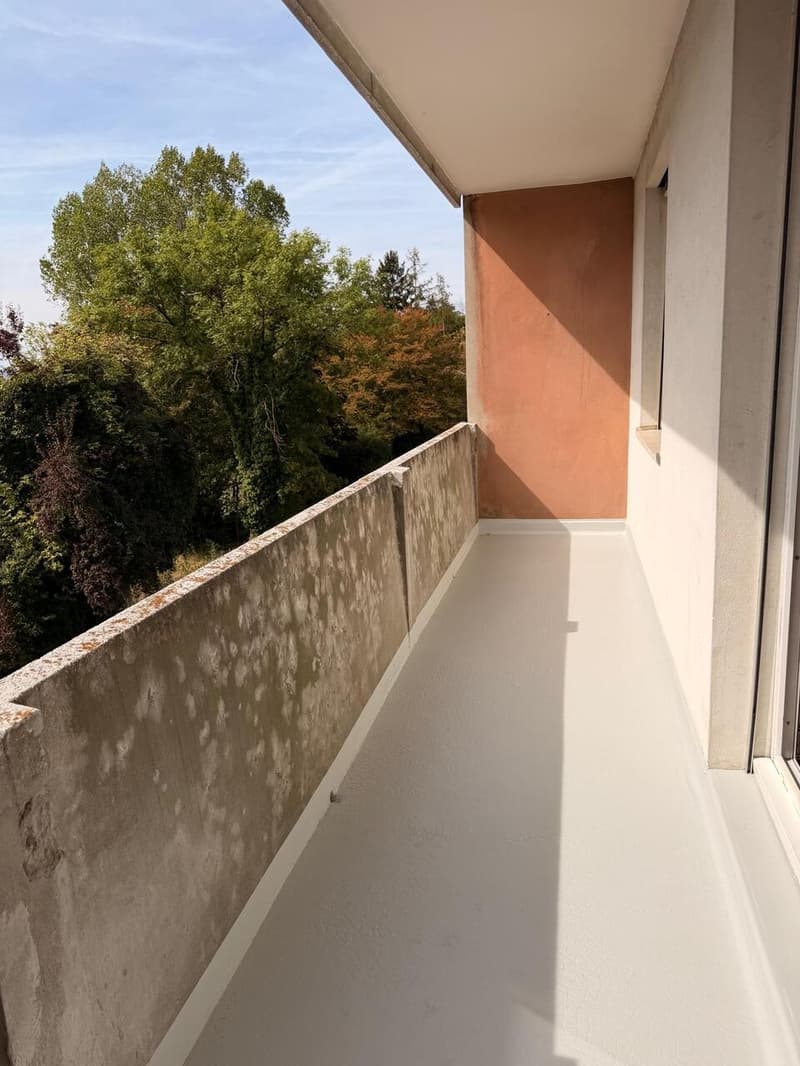 Appartement rénové de 5 pièces à Thônex (1)