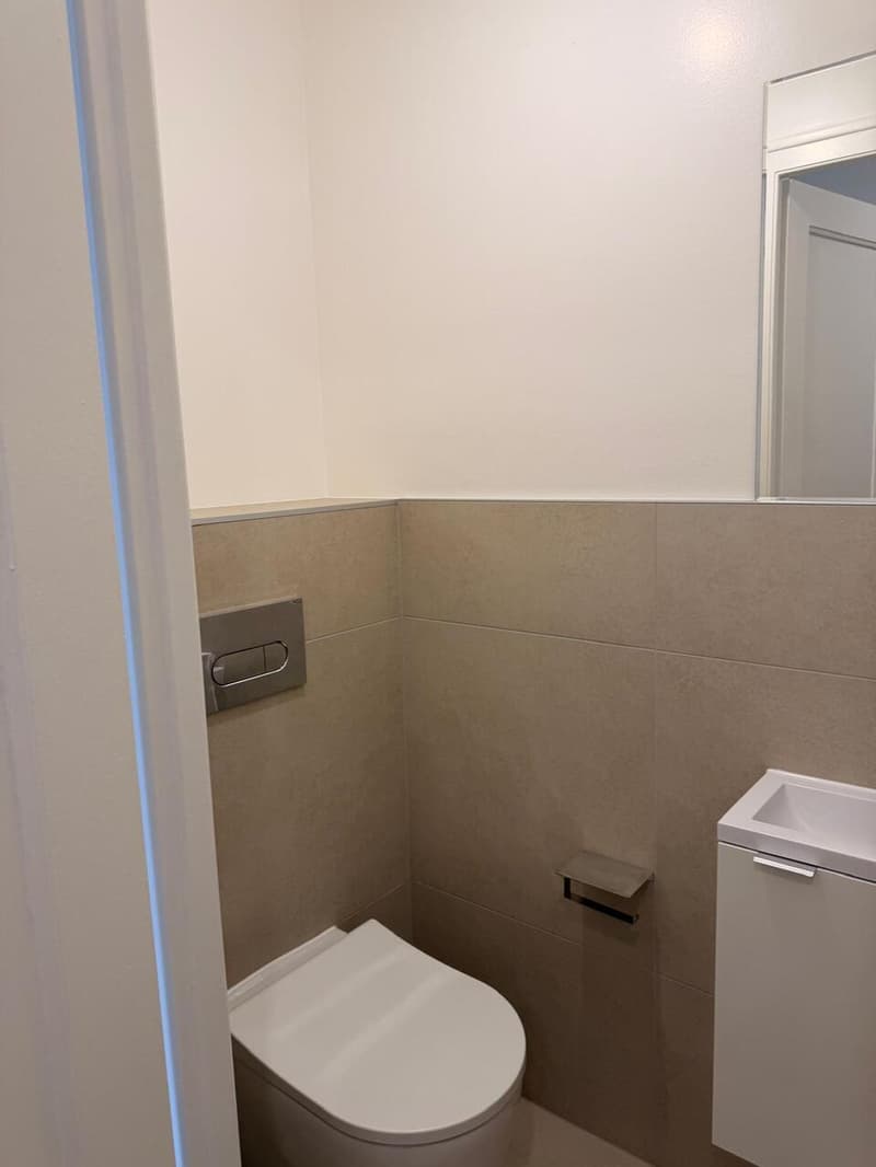 Appartement rénové de 5 pièces à Thônex (13)