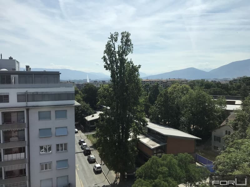 Bel appartement moderne de 3.5 pièces en surélévation à la Servette (1)