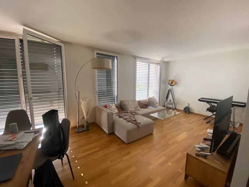 Bel appartement moderne de 3.5 pièces en surélévation à la Servette (8)