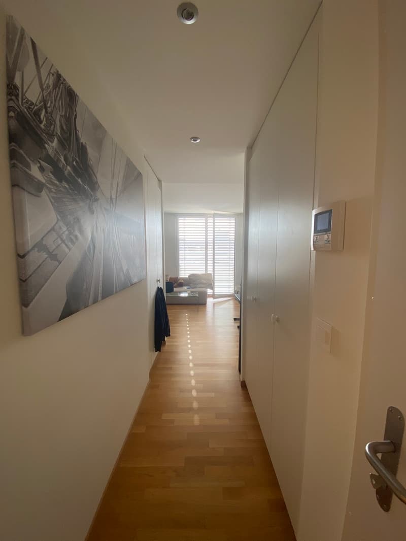 Bel appartement moderne de 3.5 pièces en surélévation à la Servette (5)