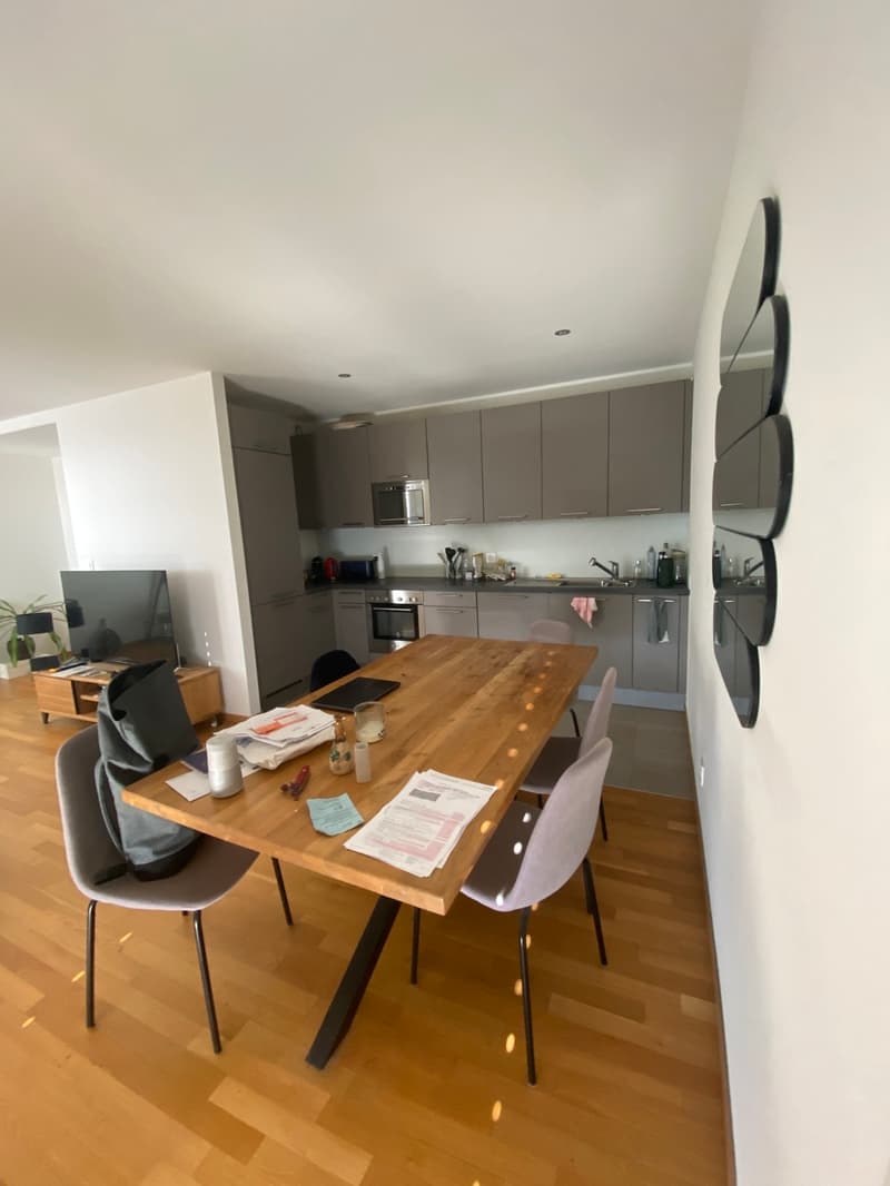 Bel appartement moderne de 3.5 pièces en surélévation à la Servette (7)