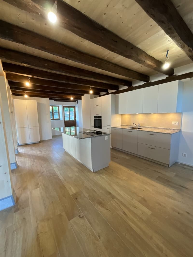 Ancienne ferme transformée en triplex de 6.5 pièces à Avusy (2)