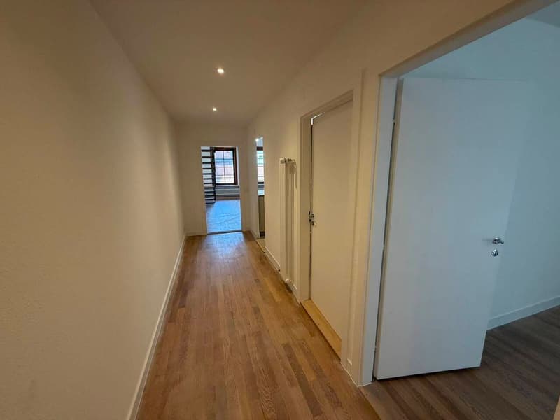 Vieille Ville DUPLEX 4.5p (5)