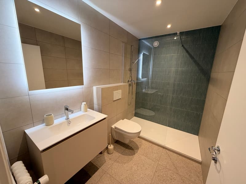Vieille Ville DUPLEX 4.5p (6)