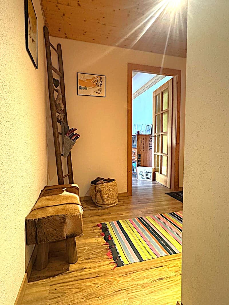 Helles 2.5-Zimmer-Wohnung von 60m2, komplett renoviert. 3. Stock, unverbaubare Aussicht! (10)