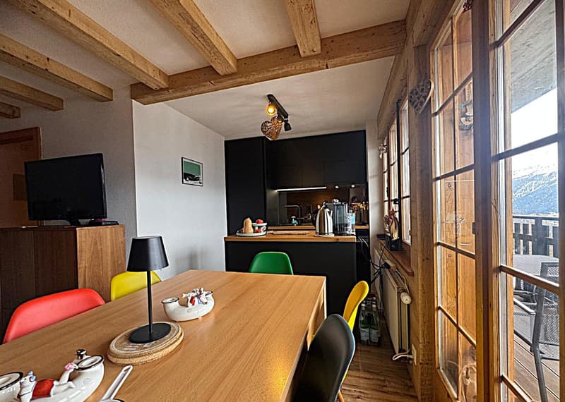 Helles 2.5-Zimmer-Wohnung von 60m2, komplett renoviert. 3. Stock, unverbaubare Aussicht! (6)