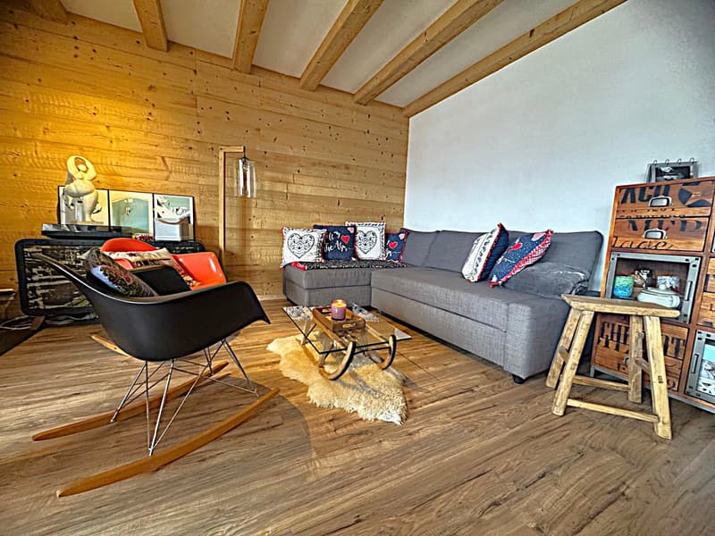 Helles 2.5-Zimmer-Wohnung von 60m2, komplett renoviert. 3. Stock, unverbaubare Aussicht! (4)