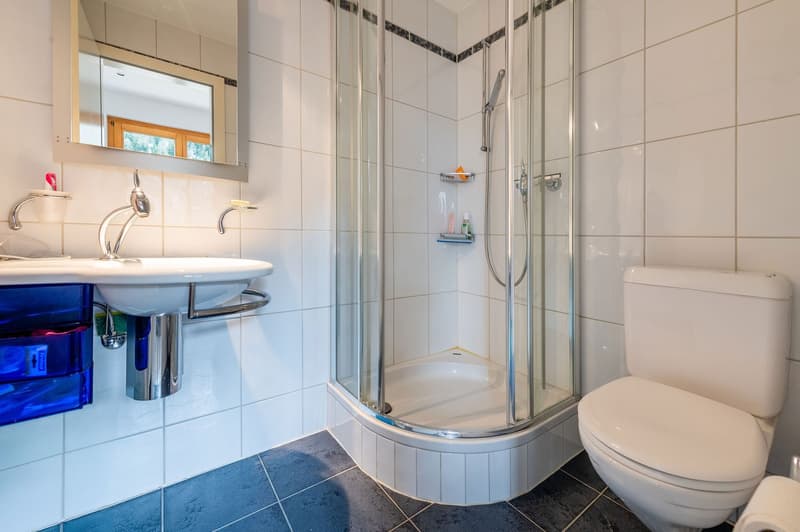 Chalet Le Nid à St-Luc – studio 30m2 avec grande terrasse à 200m des pistes (7)